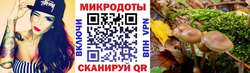 хочу Мосальск mega ссылки Псилоцибиновые грибы мухоморы