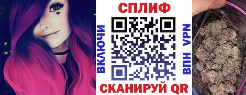 Бошки Шишки сатива Мосальск